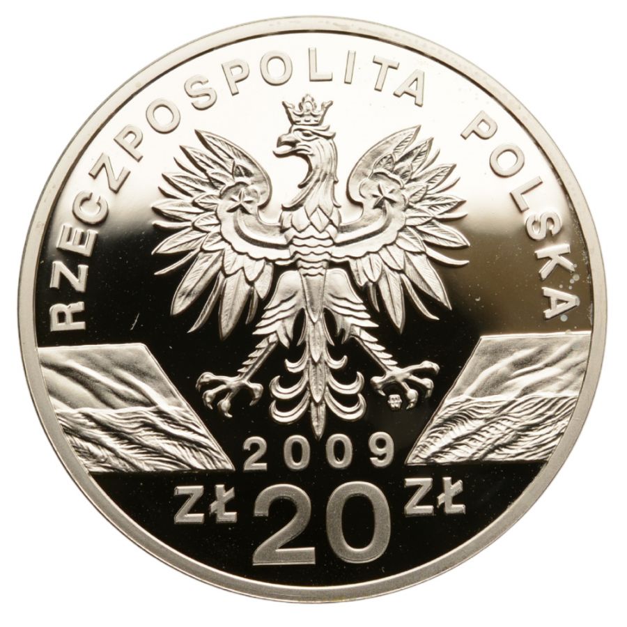 20 złotych - Zwierzęta świata - Jaszczurka zielona