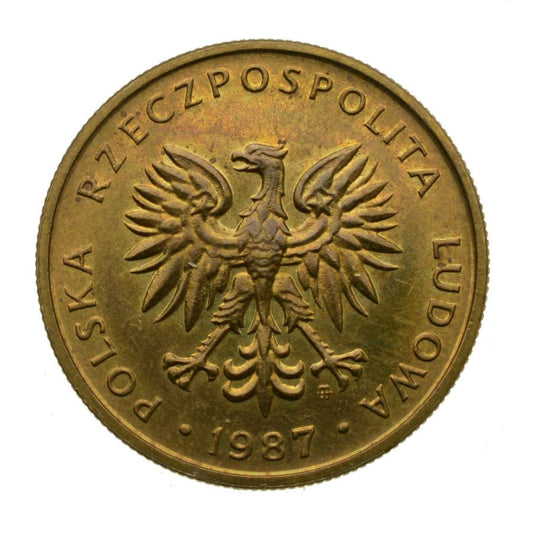 5 złotych 1987 r. (M799)